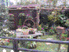 flower show2004 057.jpg